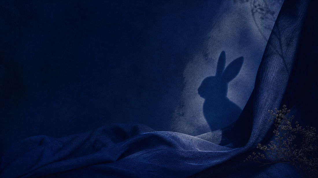 Blue Bunny editorial hero