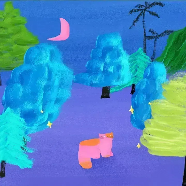 The Adventures of Starlit Cat