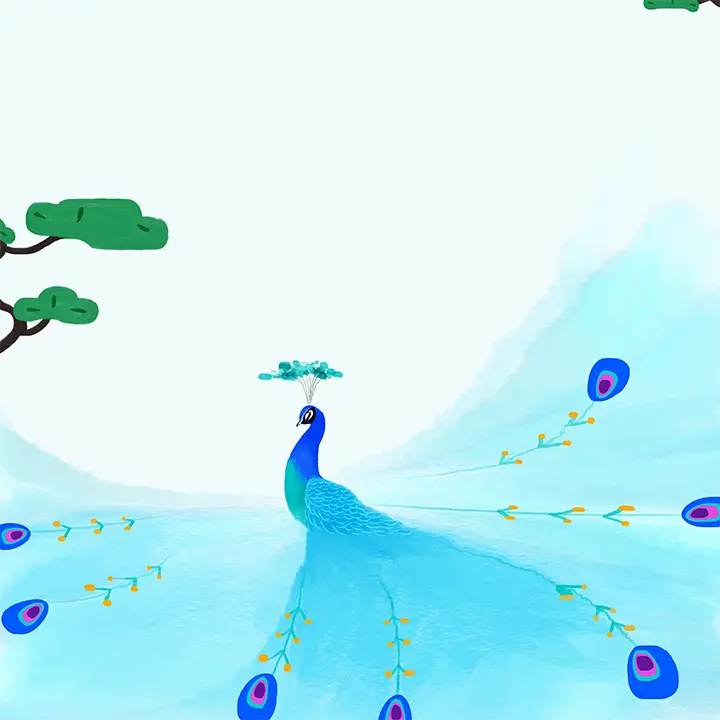Dancing Peacock