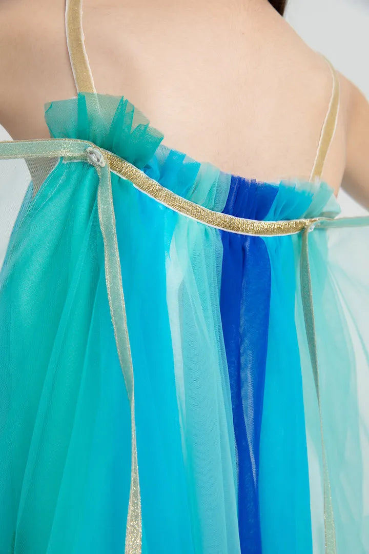 Poco Blush Peacock Dance Mesh Maxi