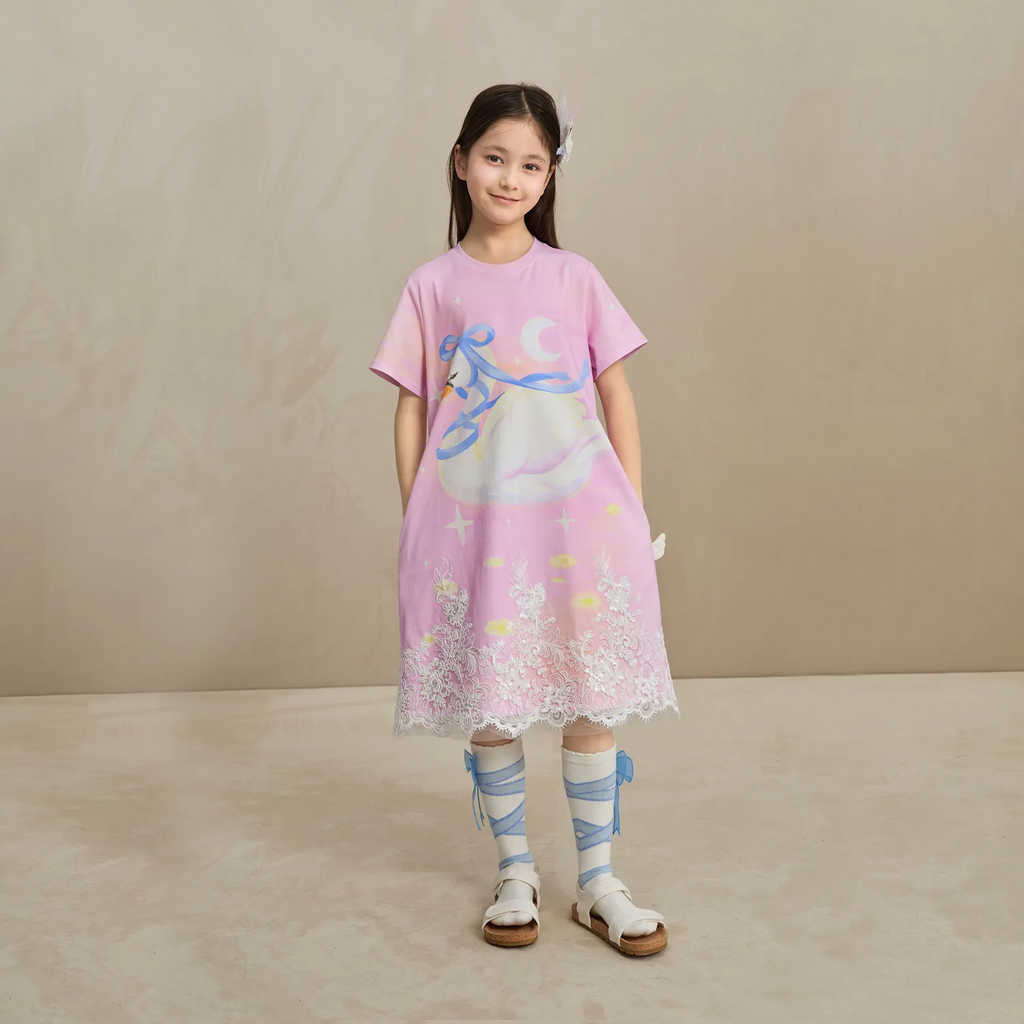 Poco Blush Dreamy Swan Lake Lace Dress
