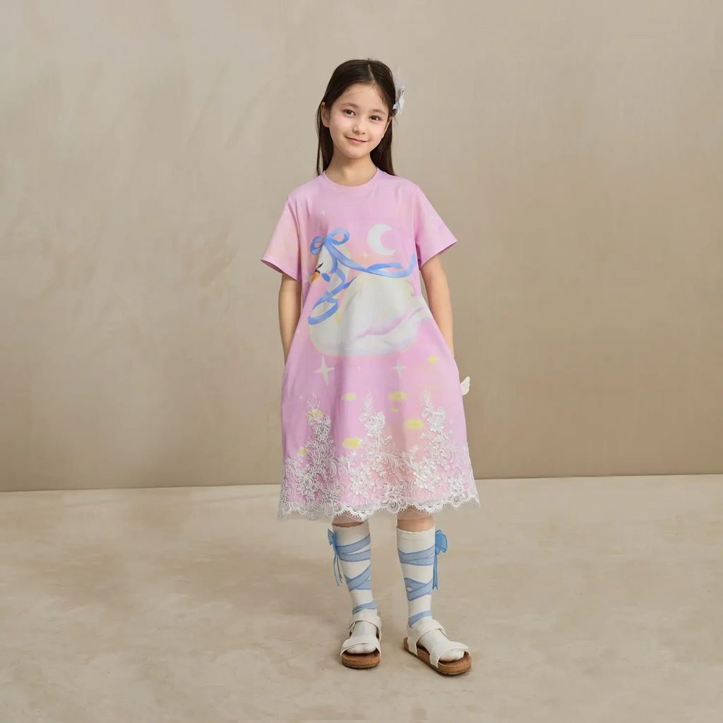 Poco Blush Dreamy Swan Lake Lace Dress