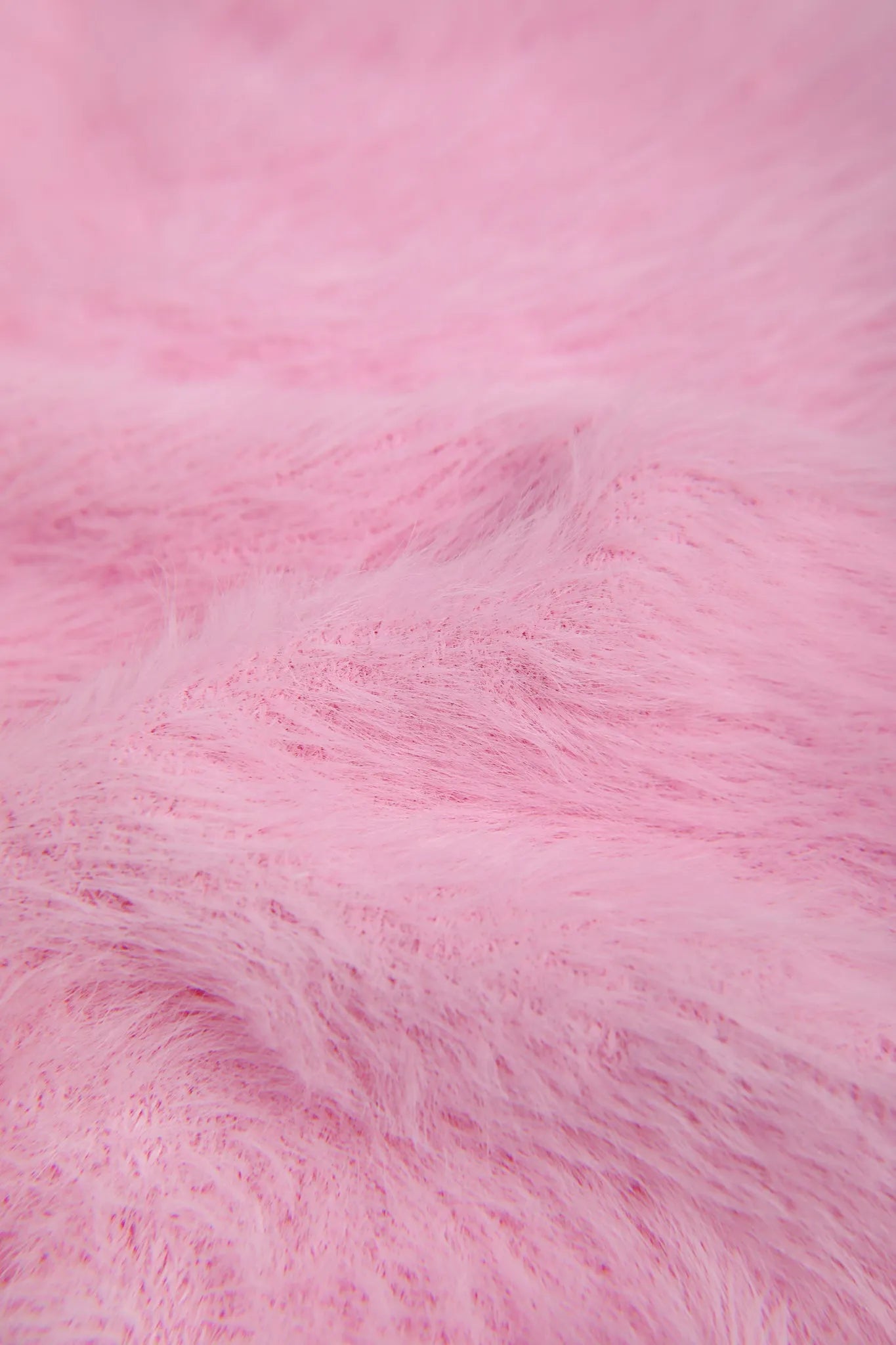 Poco Blush Fringe Cat & Bunny Jacquard Sweater