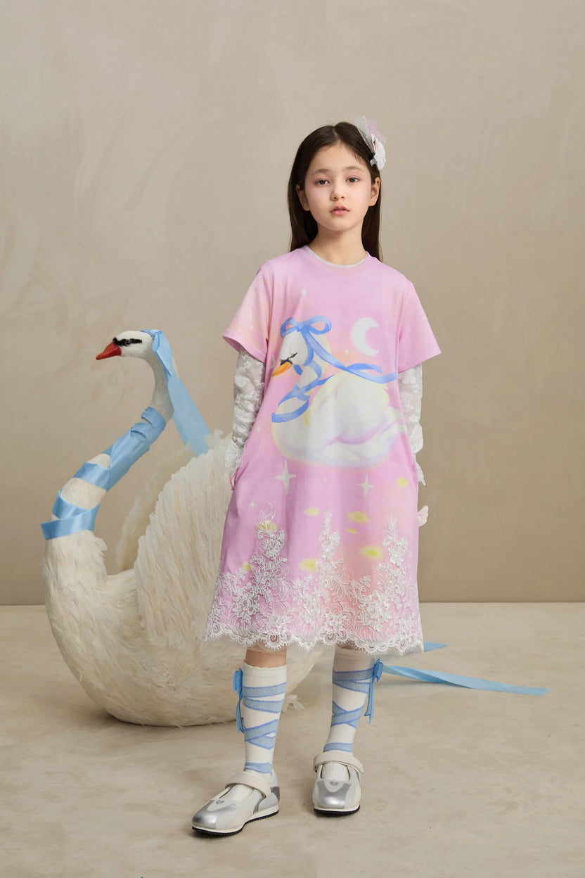 Dreamy Swan Lake Lace Dress by Poco Blush, image 18