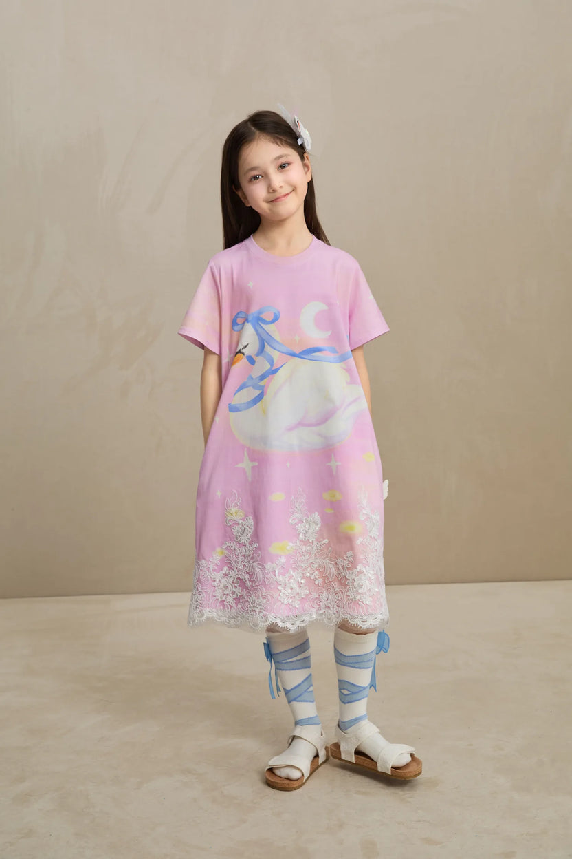 Poco Blush Dreamy Swan Lake Lace Dress