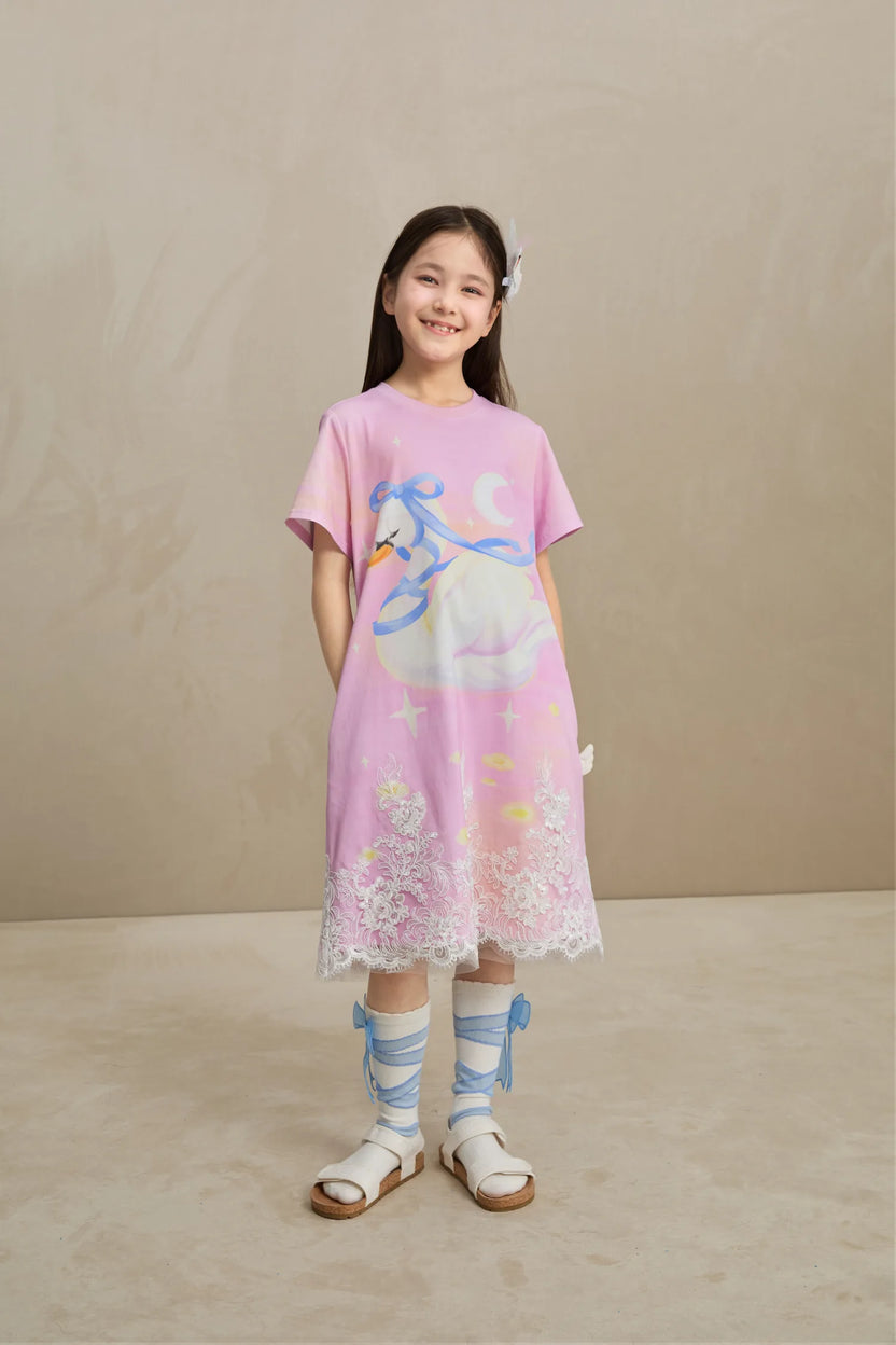 Poco Blush Dreamy Swan Lake Lace Dress